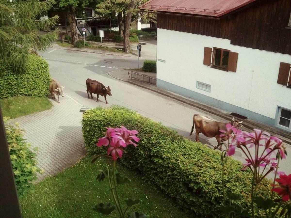 Ferienwohnung Bergblick - Allgaeublick Bad Hindelang Exterior foto